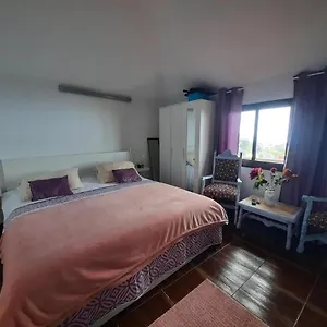 https://mi-placer.in-canary-islands.com
